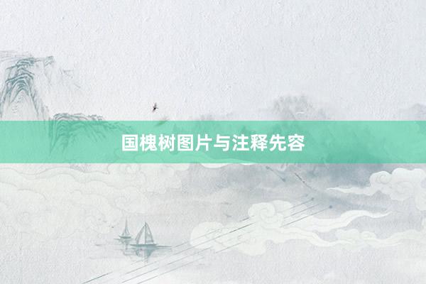 国槐树图片与注释先容